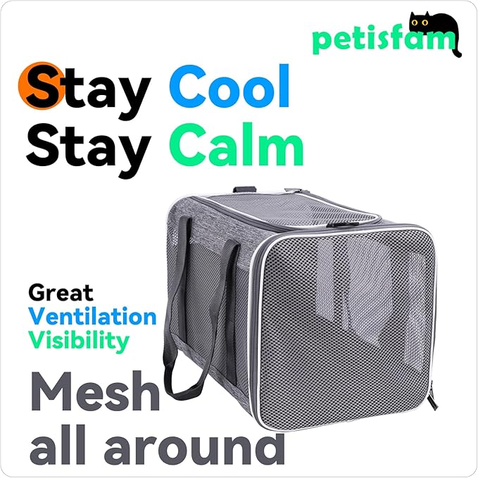 petisfam Soft Pet Carrier Bag for Cats and Puppy Under 20 lbs. Sturdy, Safe, Comfortable and Lightweight