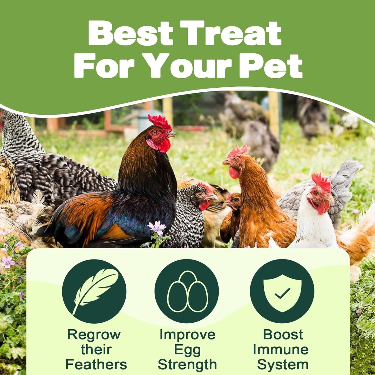 10LB Dried Black Soldier Fly Larvae, 86X Calcium Than Dried Mealworms, High Protein Non-GMO Organic Chicken Feed