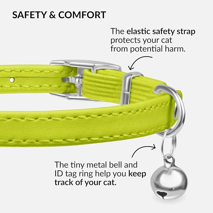 CollarDirect Leather Cat Collar with Bell - Kitten Collar, Small and Big Cat Collar for Boy Cats, Girl Cats with Safety Elastic Strap (Neck Fit 6"-7", Lime Green)