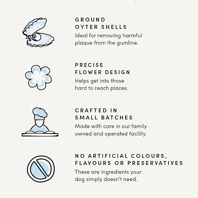 Crumps' Naturals Pumpkin Spice Plaque Busters 7" - 8 Pack