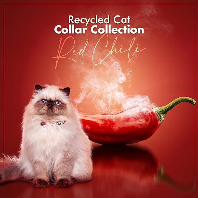 Pawtitas Recycled Red Reflective Cat Collar – Eco-Friendly Breakaway Safety Buckle, Adjustable Kitten & Adult Collar with Removable Bell and High-Visibility Strap