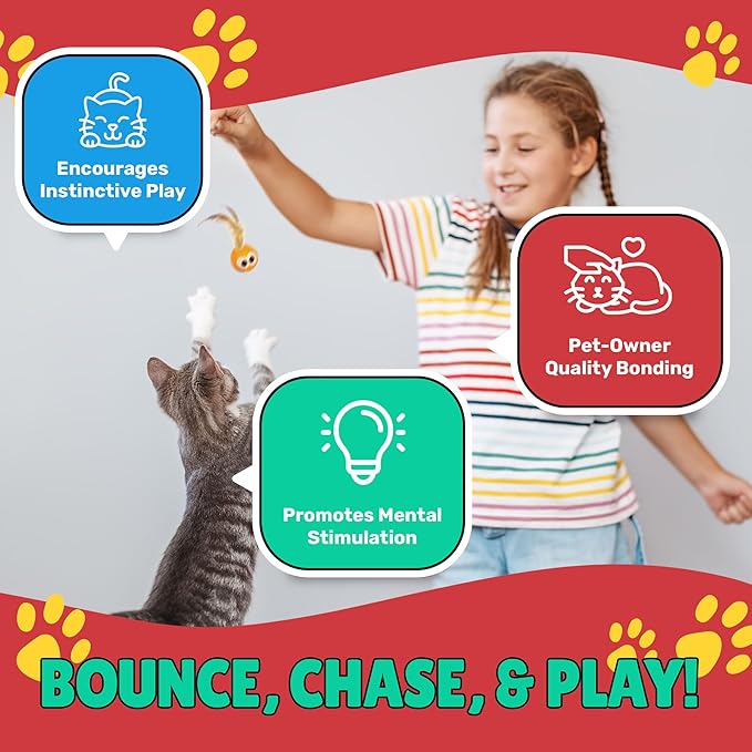 Bouncy Tails 5 Pack Interactive Bouncy Ball with Natural Feathers for Indoor Cats and Kittens who Love to Play and Have Fun.