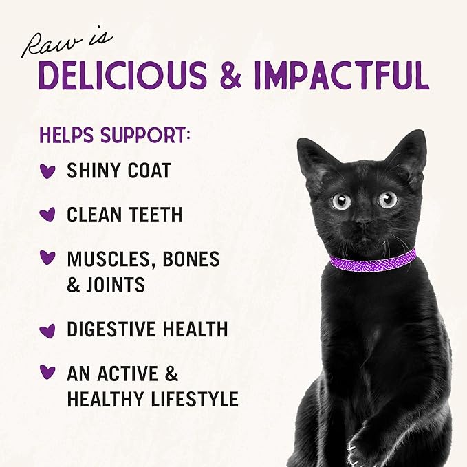 Stella & Chewy's Freeze-Dried Raw Cat Dinner Morsels - Premium Chicken Recipe with 98% Cage-Free Meat & Organs - Natural Grain-Free Cat & Kitten Food - Made in USA - 1 oz