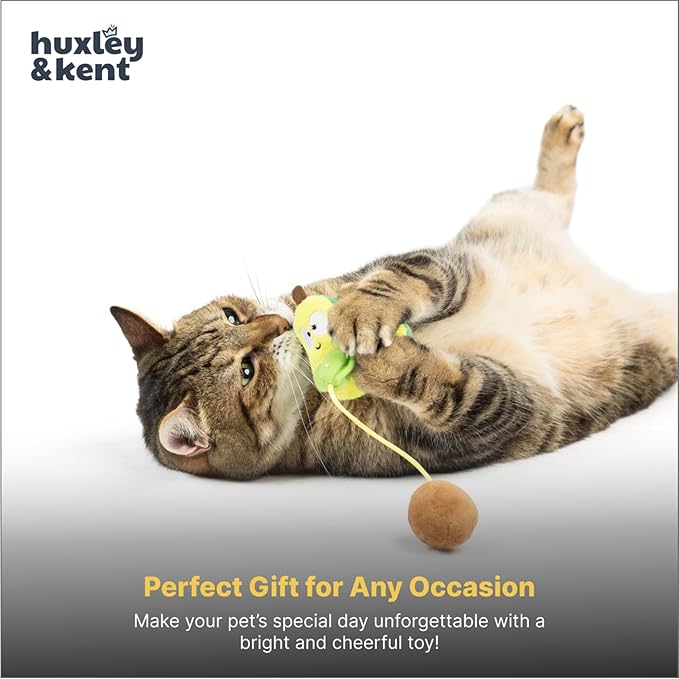 Huxley & Kent Popper Plush Cat Toy - Interactive Catnip Toy for Cats & Kittens - Treat Hiding Soft with Crinkle & Catnip - Fun Indoor Play - Avocado Popper