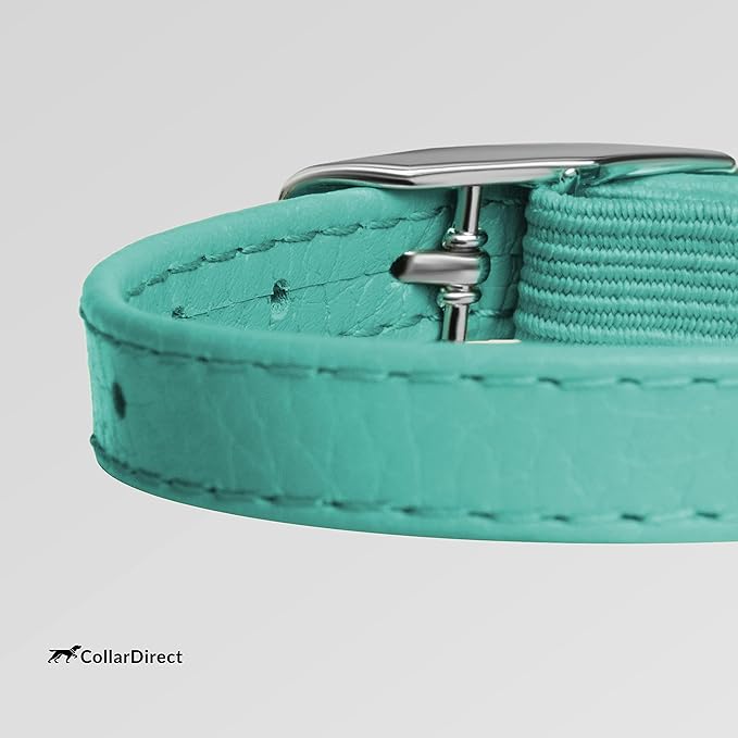 CollarDirect Leather Cat Collar, Cat Safety Collar with Elastic Strap, Kitten Collar with Bell Black Blue Red Orange Lime Green (8-11 Inch, Mint Green)