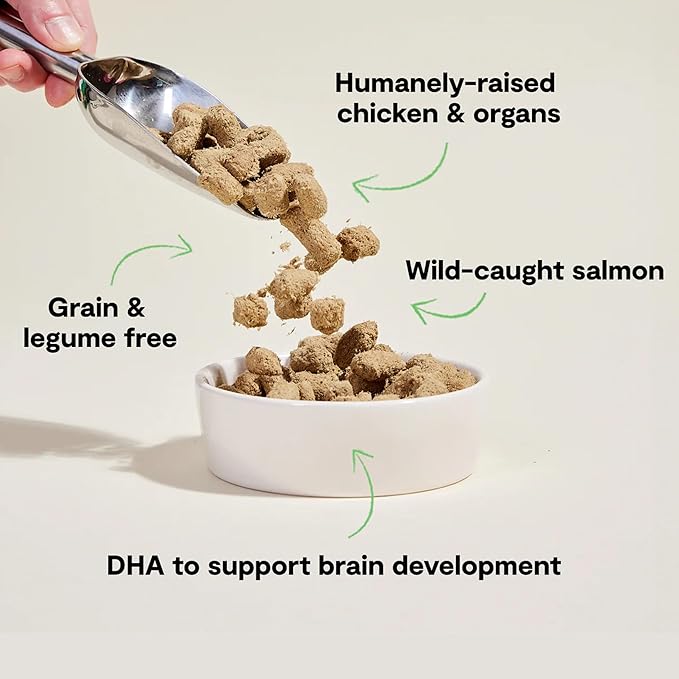 Open Farm, Freeze Dried Raw Puppy Food, Morsels with 95% Meat, Organs & Bone, Organic Produce & Superfoods, Complete Meal or Freeze Dried Dog Food Topper, Chicken & Salmon Puppy Recipe, 13.5oz Bag