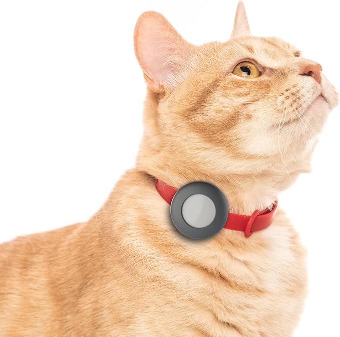 Airtag Breakaway Cat Collar - Soft, Comfortable, and Lightweight Safety Buckle Collar with Air Tag GPS Tracker Holder for Outdoor Cats and Sensitive Skin Kittens by Nuvuq (6 ⅞" to 10 ¼", Red)