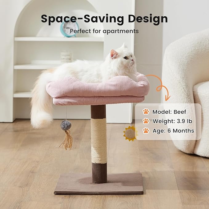 Gardner Pet 20" Cat Tree Corduroy, Solid Wood Small Cat Tree, Removable Cat Bed, Sisal Scratching Post & Hanging Toys, Stable Modern Cat Tower for Kittens & Indoor Cats (Brown, Square-Corduroy)