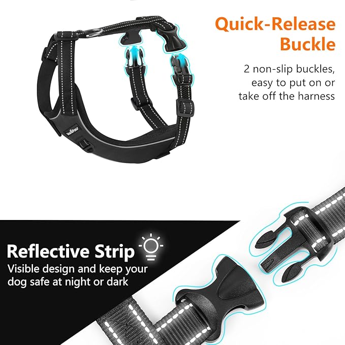 Dog Seat Belt Harness for Car, Dog Car Harness Adjustable Mesh Breathable & Dogs Seatbelt Safety Tether with Elastic Bungee for Small Medium Large Pets(Carbon Black, M)