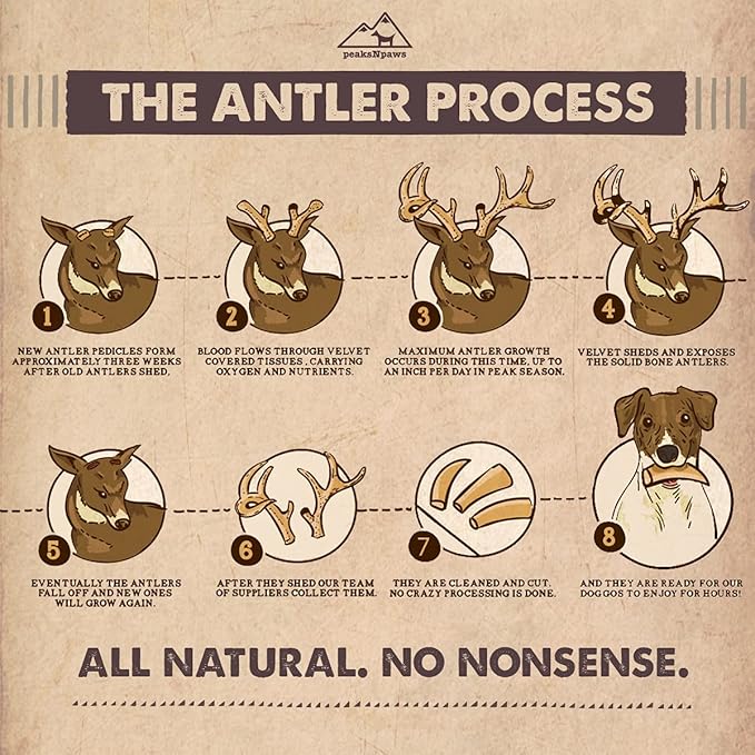 peaksNpaws Premium All-Natural Grade A Split Elk Antlers for Dogs – Naturally Shed in The Rocky Mountains – No Additives, No Preservatives - Healthy and Delicious Treat - Made in USA - M/L Split