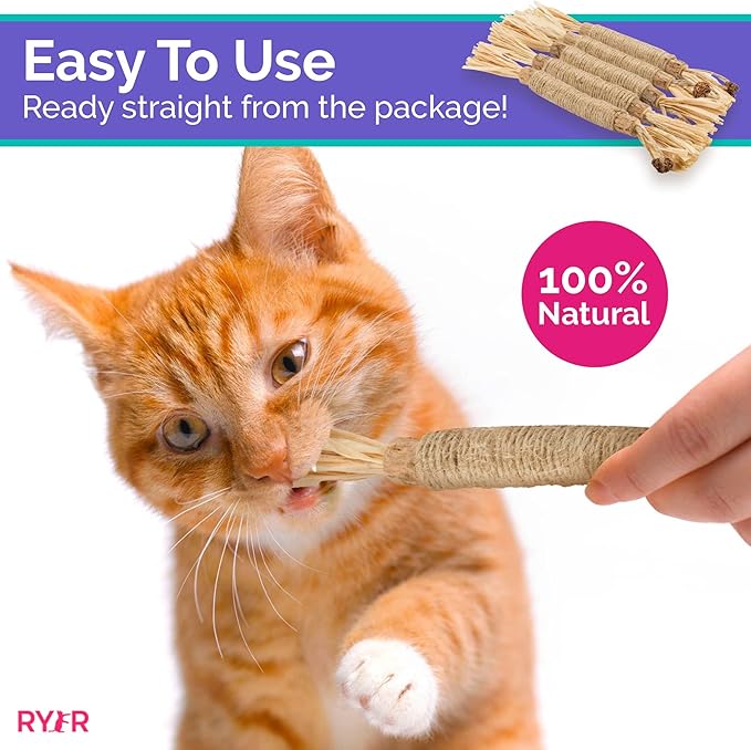 RYERCAT Silvervine Sticks for Cats - 100% Natural Cat Chew Toy for Aggressive Chewers and Kitten Teething - Pet Friendly, Smooth Finish, Irresistible Taste and Smell (5 Pack)