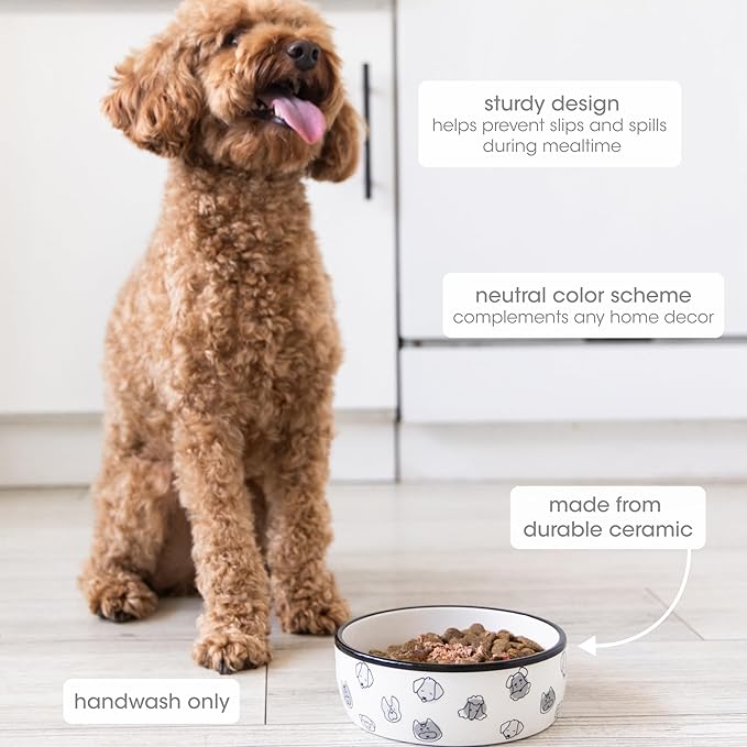 Pearhead Ceramic Dog Faces Dog Bowl, Holds 2 Cups, Stoneware Food and Water Dish for Dogs up to 20 lbs, Microwave and Dishwasher Safe, Small/Medium