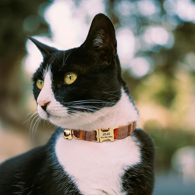 Plaid Polyester Personalized Cat Collar with Name & Owner Phone, Customizable Laser-Engraved, Charming Bell, Metal Buckle for Kittens and Cats - Matching Leash Available (Style-I)