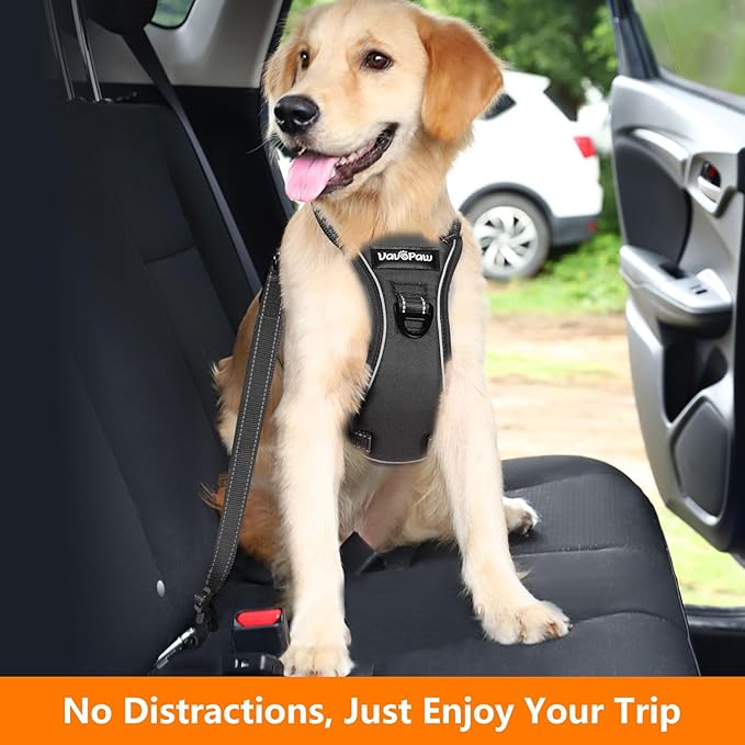 Dog Seat Belt Harness for Car, Dog Car Harness Adjustable Mesh Breathable & Dogs Seatbelt Safety Tether with Elastic Bungee for Small Medium Large Pets(Carbon Black, L)