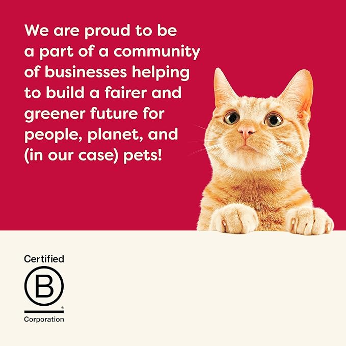 Applaws Lickable Cat Treats, Natural Grain-Free Purée, Made with Limited and Natural Ingredients, No Artificial Additives, Chicken & Tuna Squeeze Up Cat Treats (24 x 0.5 oz Sachets)