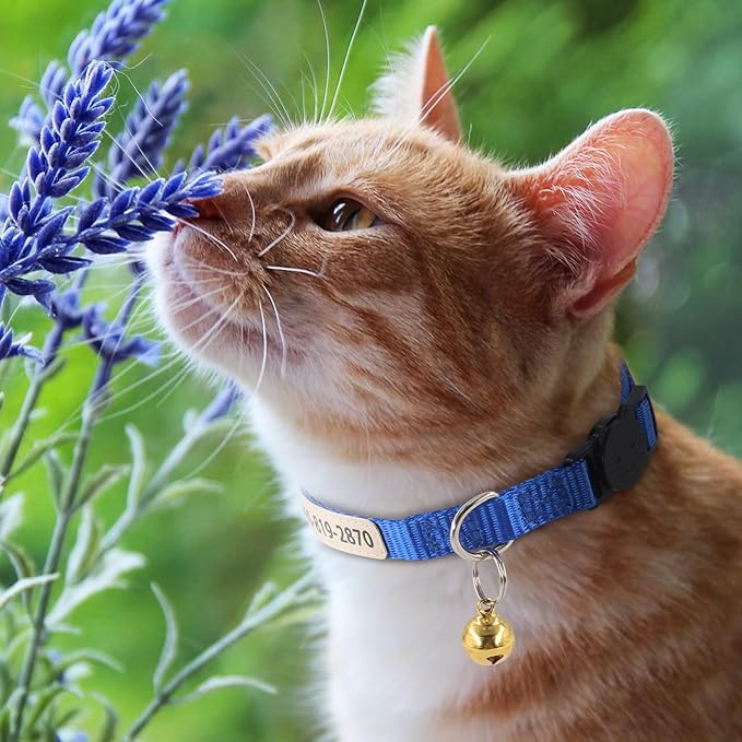 Personalized Nylon Cat Collar with Name and Phone Number, Custom UV Printed Breakaway Adjustable Collar with Bell for Cats