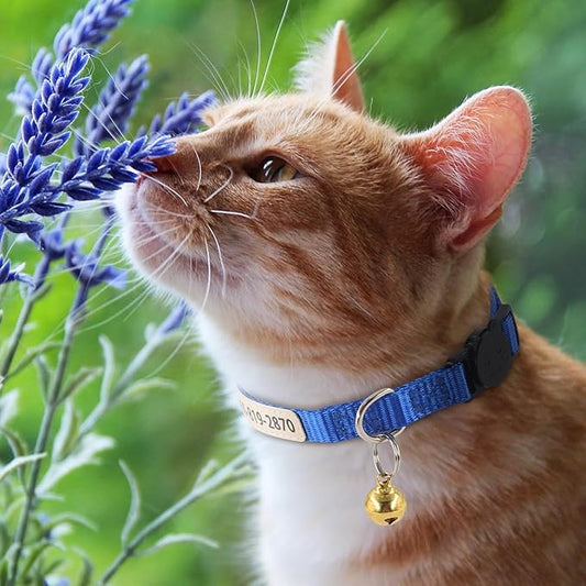 Personalized Nylon Cat Collar with Name and Phone Number, Custom UV Printed Breakaway Adjustable Collar with Bell for Cats