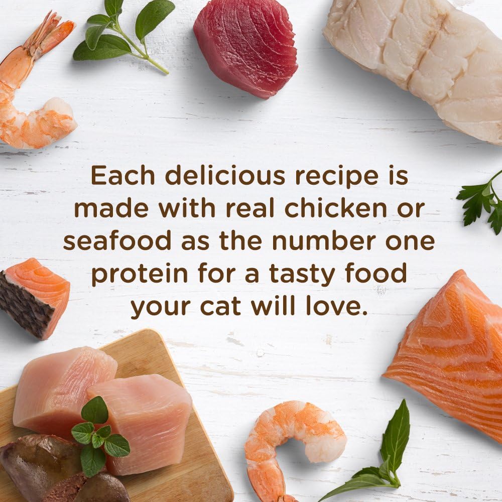 Rachael Ray Nutrish Natural Wet Cat Food, Chicken & Shrimp Pawttenesca Recipe, 2.8 Ounce Cup (Pack of 12), Grain Free (6303370281)