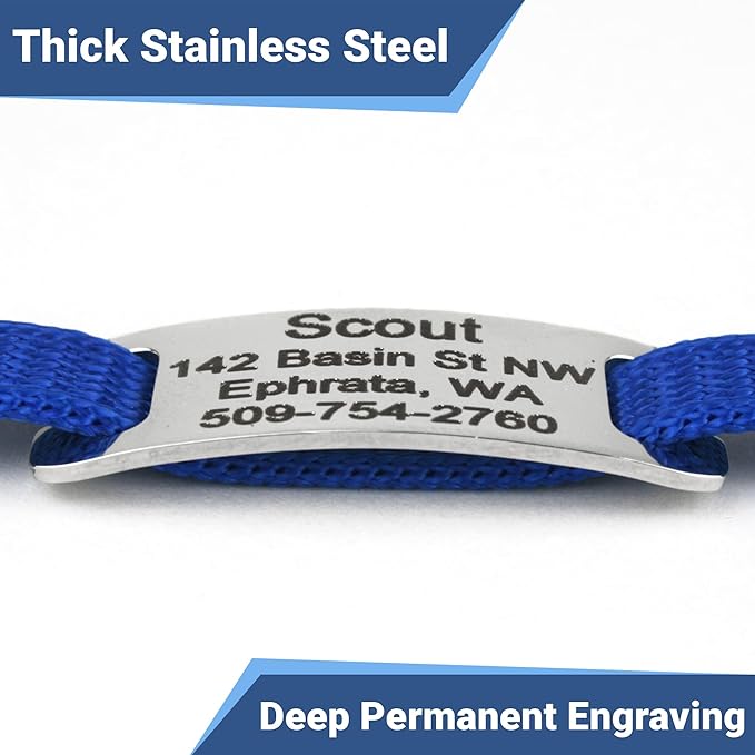 GoTags Personalized Cat Collars with Tag, Engraved Custom Cat Collar with Name and Phone, Breakaway Collar with Safety Buckle and Bell, Adjustable for Cats and Kitten (Pink with Nameplate)