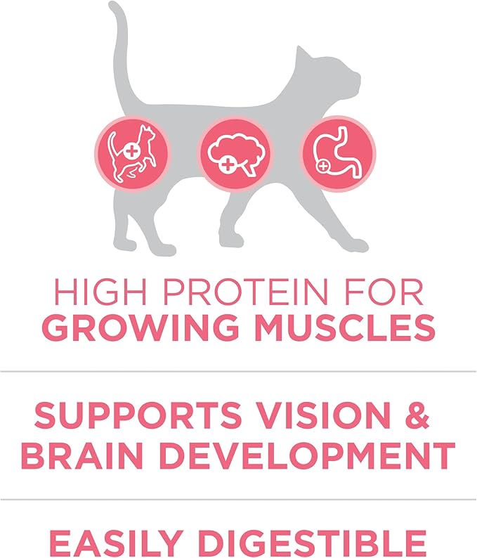 Purina ONE High Protein, Natural Dry Kitten Food, +Plus Healthy Kitten Formula - 7 lb. Bag