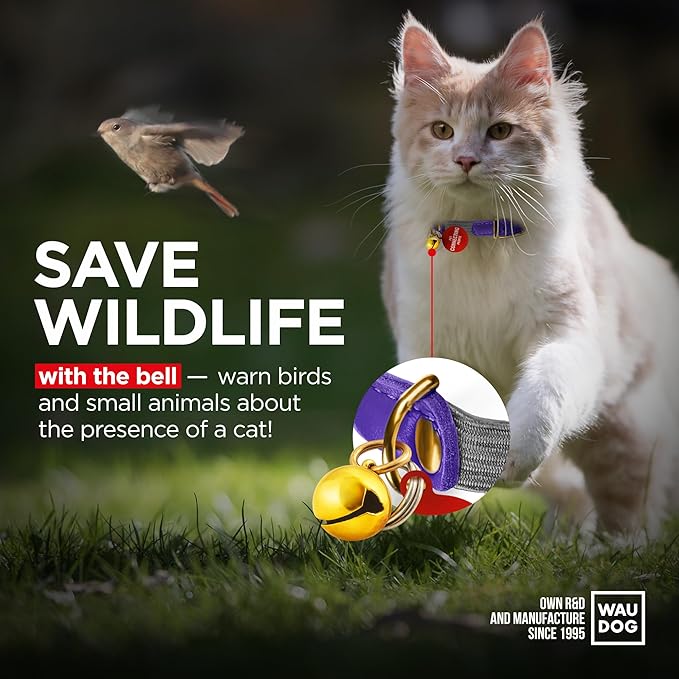 WAUDOG Ultra Soft Rolled Leather Cat Collar with Removable Bell, Safety Elastic Strap and QR ID Tag - Soft Padded for Small, Medium, and Large Cats - Round Kitten Collar for Male and Female Cats