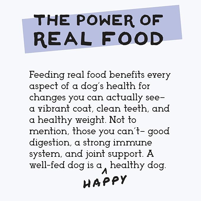 Simple Food Project - Duck Recipe - Freeze Dried Raw Food for Dogs - 96oz