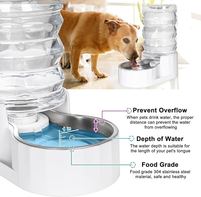 RIZZARI Automatic Gravity Pet Waterer: 7L White Stainless Steel Water Dispenser - Large Capacity with Triple Filter and Specialized Brush for Senior Dogs with Spinal Issues - for Living Room Bedroom