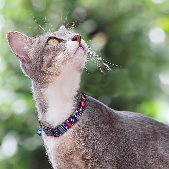 Cat Collars 2 Pack - Soft Cute Breakaway Collar with Bell, Adjustable Safety Kitten Collars for Girl & Boy Cats – Comfortable Stylish Patterned Print Lightweight (Ethnic + Striped)