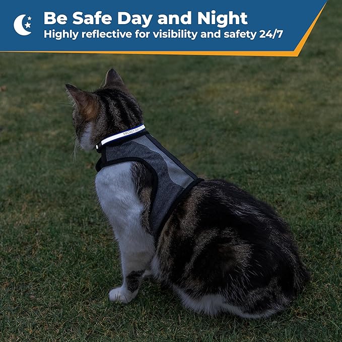 GoTags Personalized Reflective Cat Collars, Engraved Custom Cat Collar with Name and Phone Identification, Breakaway Collar with Safety Release Buckle and Bell, Adjustable for Cats and Kitten (Orange)