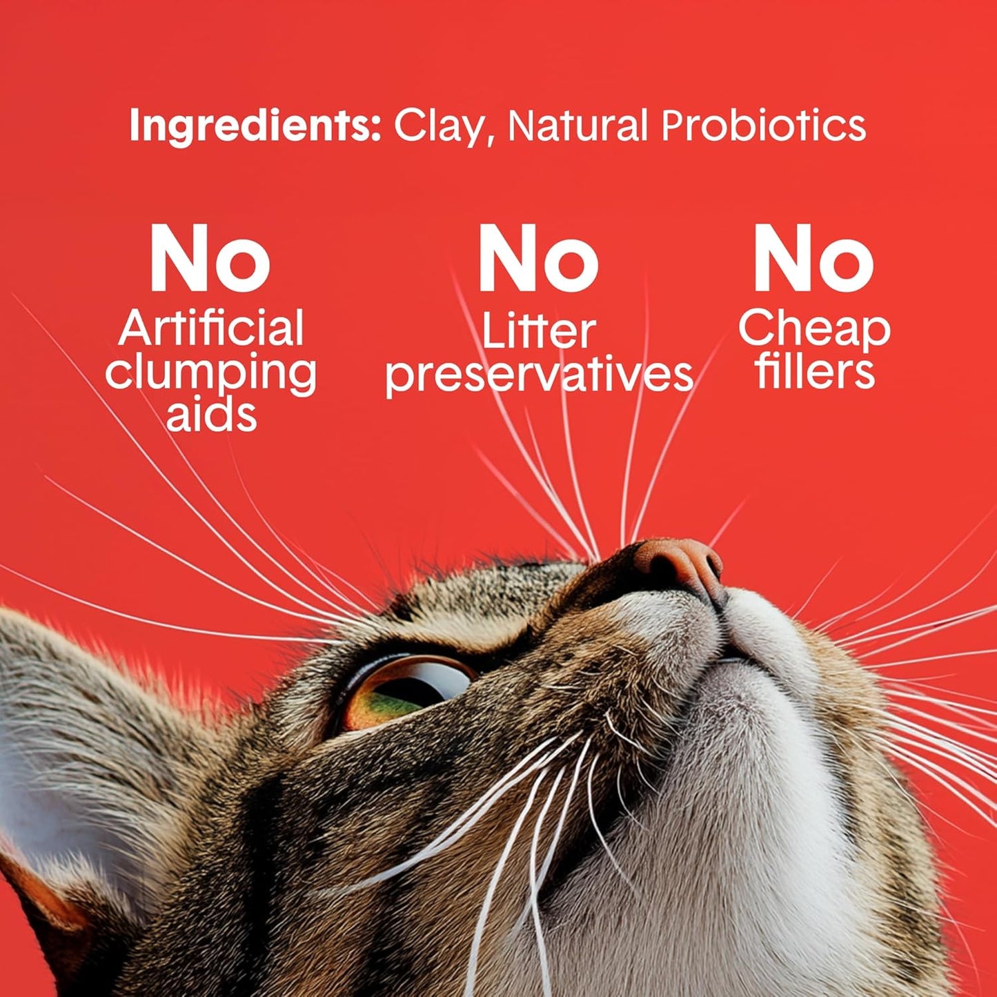 Boxie® Extra Strength 35 Day Odour Control Clumping Clay Cat & Kitty Litter 40lb, 99.9% Dust-Free, Probiotic Formula, Long-Lasting, Veterinarian Approved, Easy Scooping for Multi-Cat Homes