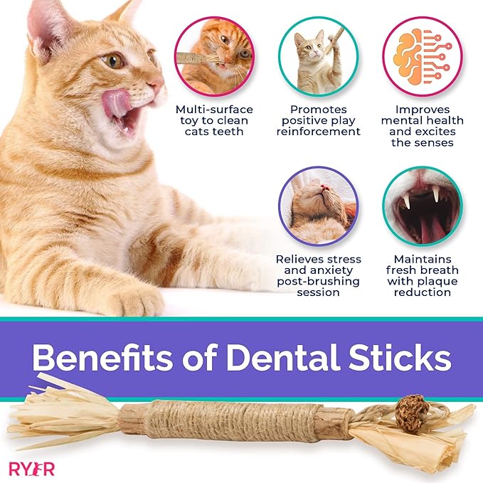 RYERCAT Silvervine Sticks for Cats - 100% Natural Cat Chew Toy for Aggressive Chewers and Kitten Teething - Pet Friendly, Smooth Finish, Irresistible Taste and Smell (5 Pack)