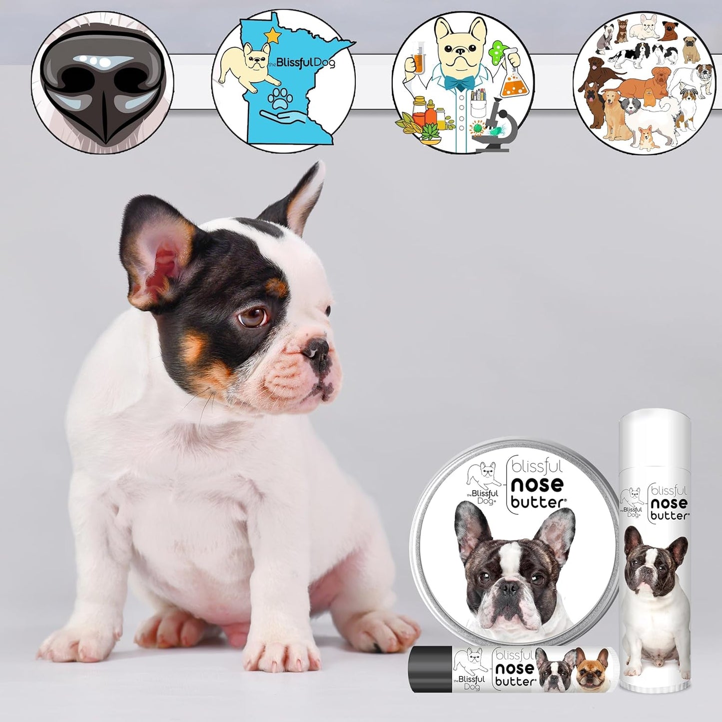 The Blissful Dog French Bulldog Pied Nose Butter for Dry, Cracked Skin, Lick-Safe Dog Nose Balm with Moisturizing Shea Butter, Almond, Olive, and Essential Oils, Pet Supplies, Uncented, 8 oz.