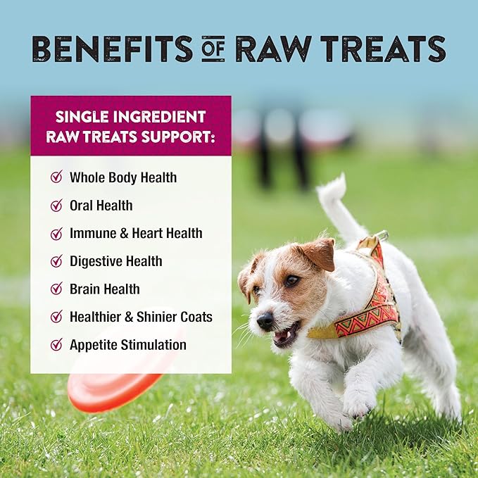 Northwest Naturals Raw Rewards Freeze-Dried Beef Heart Treats for Dogs and Cats - Bite-Sized Pieces - Healthy, 1 Ingredient, Human Grade Pet Food, All Natural, Proudly Made in USA, 10 Oz