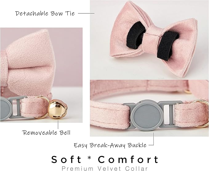 Personalized Breakaway Cat Collar with Safety Buckle - Customizable Name and Phone Number