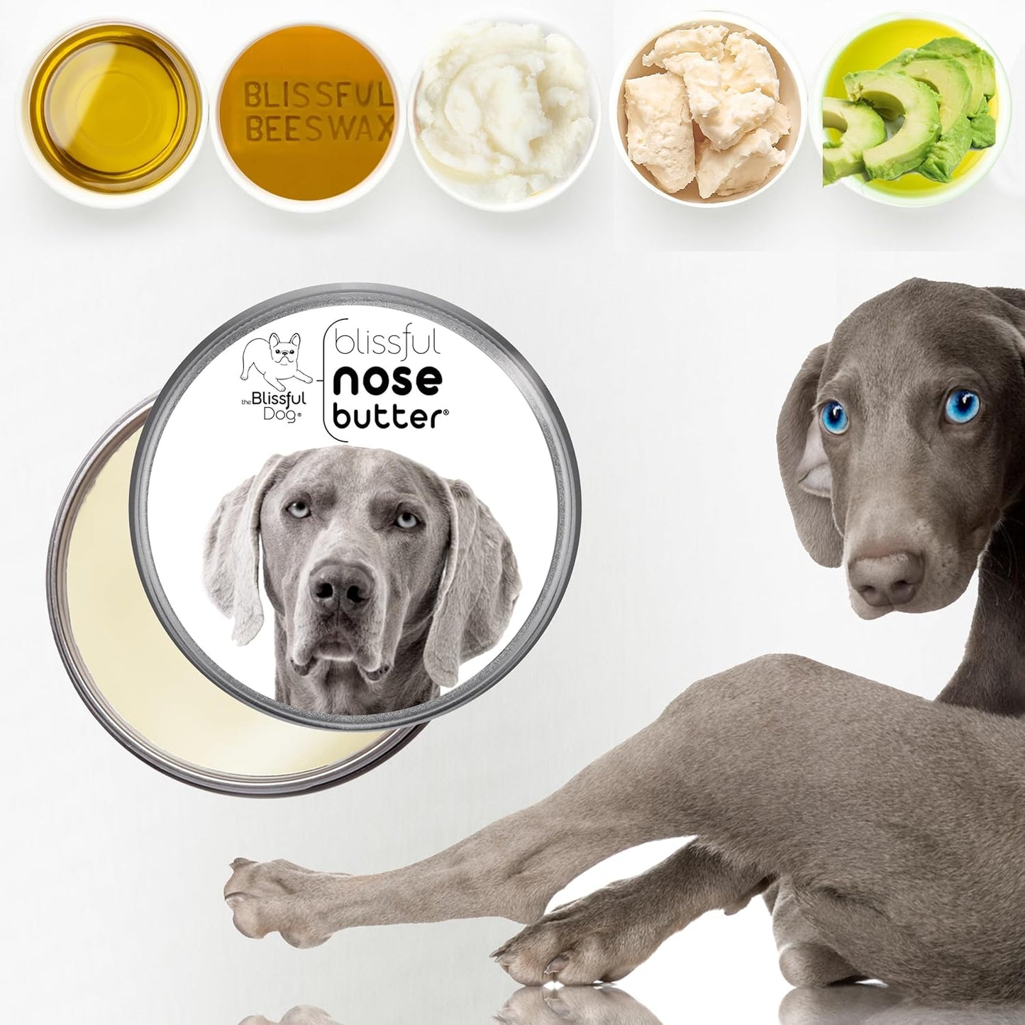 The Blissful Dog Weimaraner Nose Butter for Dry, Cracked Skin, Lick-Safe Dog Nose Balm with Moisturizing Shea Butter, Almond, Olive, and Essential Oils, Pet Supplies, Uncented, 8 oz.