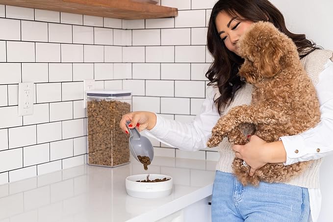 Pearhead Ceramic Bone Appétit Dog Bowl, Holds 2 Cups, Stoneware Food and Water Dish, Microwave and Dishwasher Safe, Small/Medium