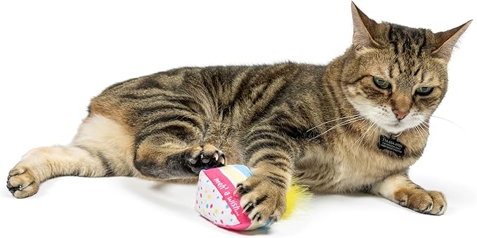 Huxley & Kent Plush Cat Toy | Meh' A Wish Cake | Birthday Strong Catnip Filled Cat Toy | Plush Interactive Kitten and Cat Toy with Catnip and Crinkle | Kittybelles