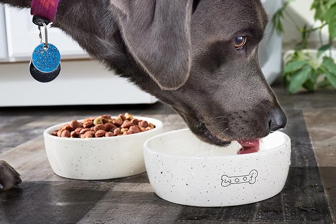 Pearhead Ceramic Woof Dog Bowl, Holds 3 Cups, Stoneware Food and Water Dish, Pet Feeding, Microwave and Dishwasher Safe, Medium