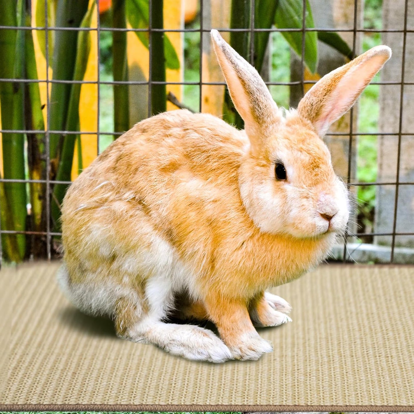 2Pcs Rabbit Scratch Mat,16 x 12 Inch Sisal Rabbit Scratching Pad,Rabbits Scratching Mats for Cages,Claws and Teeth Care Rabbits Chew Toys,Small Pet Bedding for Biting Sleeping Nesting
