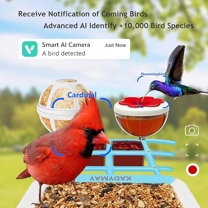 64GB Smart Bird Feeder with Camera Solar Powered, AI Identify 10K+ Bird Aves, 2K 3MP HD Live Video &Playback on Phone, 2.4G WiFi Birdhouse Camera Wireless Outdoor-Watching House (Light Blue)