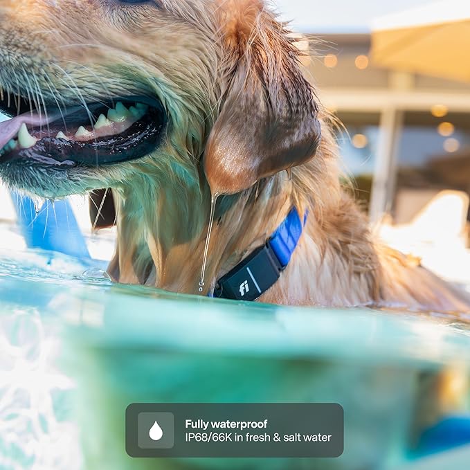 New Fi Series 3+ Smart Dog Tracker Collar [6 Month Membership Included] GPS Tracker for Dogs with Health & Behavior Monitoring, Escape Alerts, Waterproof, LED, Apple Watch Compatible (Blue, Medium)