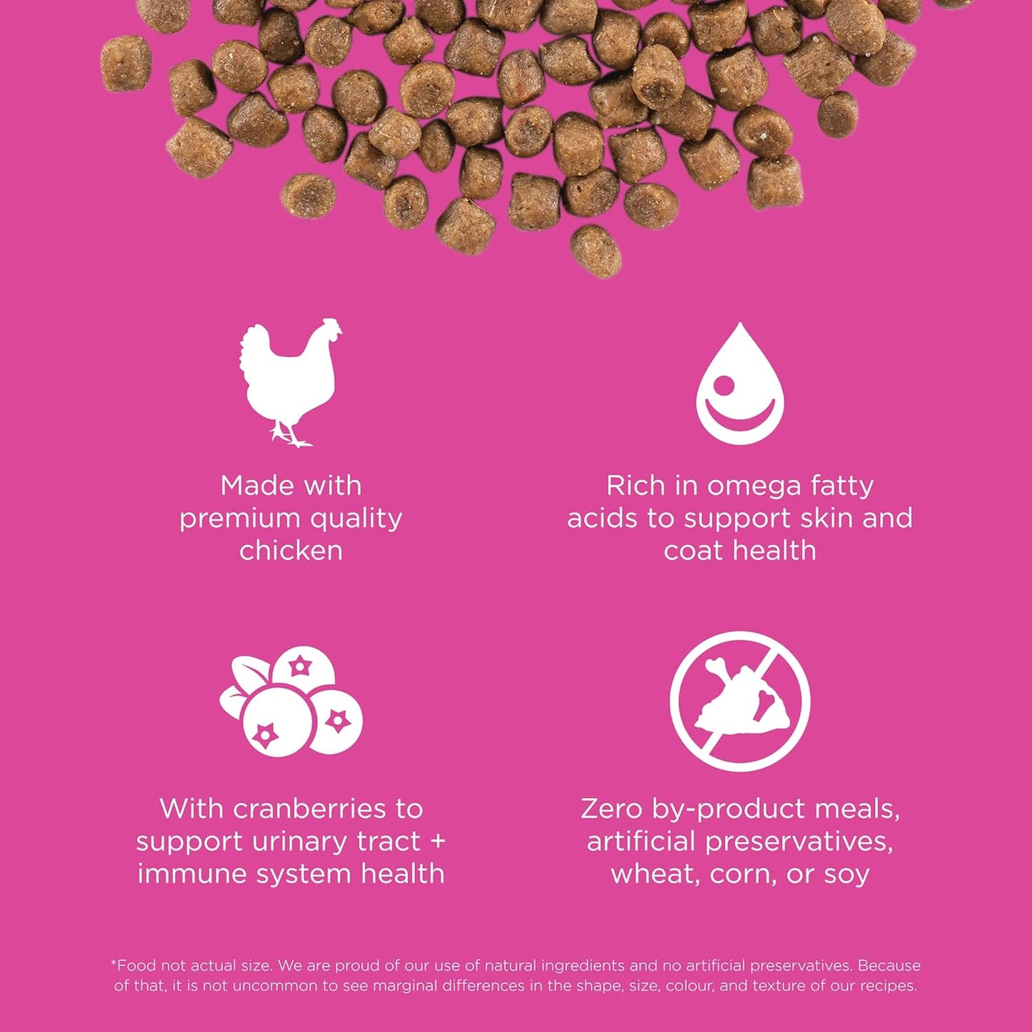 Go! Solutions Skin + Coat Care, Dry Cat Food, Chicken Recipe with Grains, 16 lb Bag