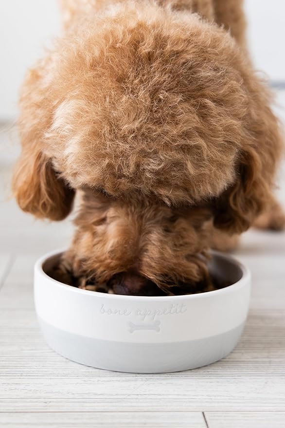 Pearhead Ceramic Bone Appétit Dog Bowl, Holds 2 Cups, Stoneware Food and Water Dish, Microwave and Dishwasher Safe, Small/Medium