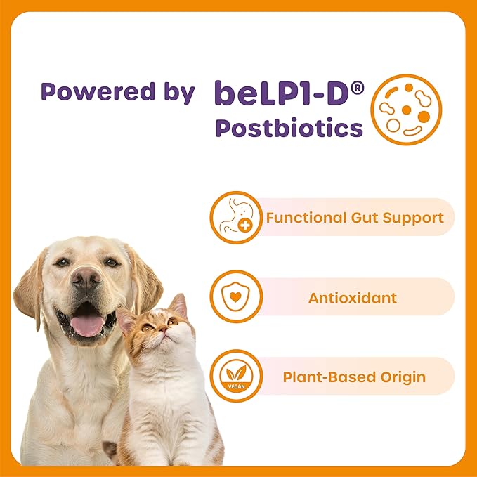 Choolip Squeeze Vita Stick Lickable Cat and Dog Treats – 20-Pack of 40g – Real Fish Puree with Multivitamins & Postbiotics – Hydrating, Gut & Immune Support – Large Breeds & Multi-Pet Homes