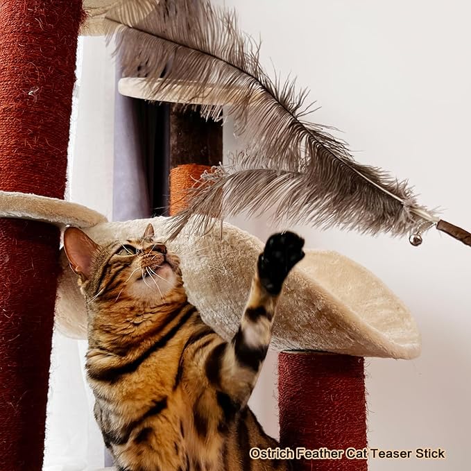 TTcat Cat Wand Toys Feather Stick Toys,3 Pcs Cat Teaser Sticks with Different Feathers, Peacock, Chicken Feathers,Interactive oys for Indoor and Kitten.