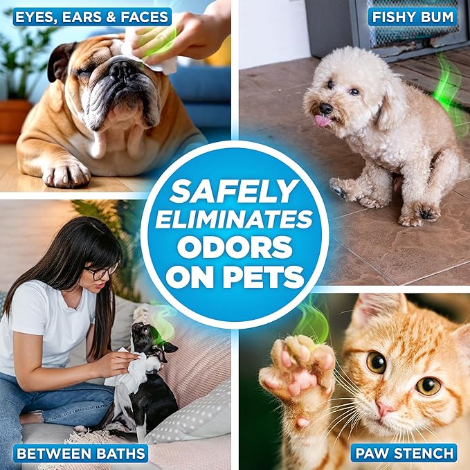 POOPH® Pure Wipes™ – 100 Count Pack – Gentle, Fast Odor-Elimination – NO Fragrances, NO Harsh Chemicals – Cleans Paws, Butt, Ears, Face, Fur – Perfect for Cars, Crates, All Surfaces