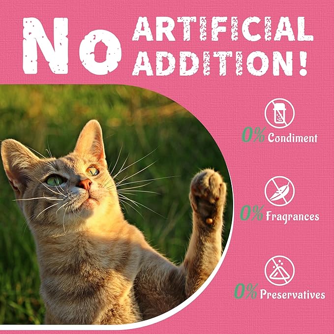 Just Try 36 OZ Urinary Tract Cat Treats for Indoor Cats Health Supplement Cranberry & D-Mannose for Kidney Bladder UT Support Salmon Flavor Crunchy Chews Cat Loves