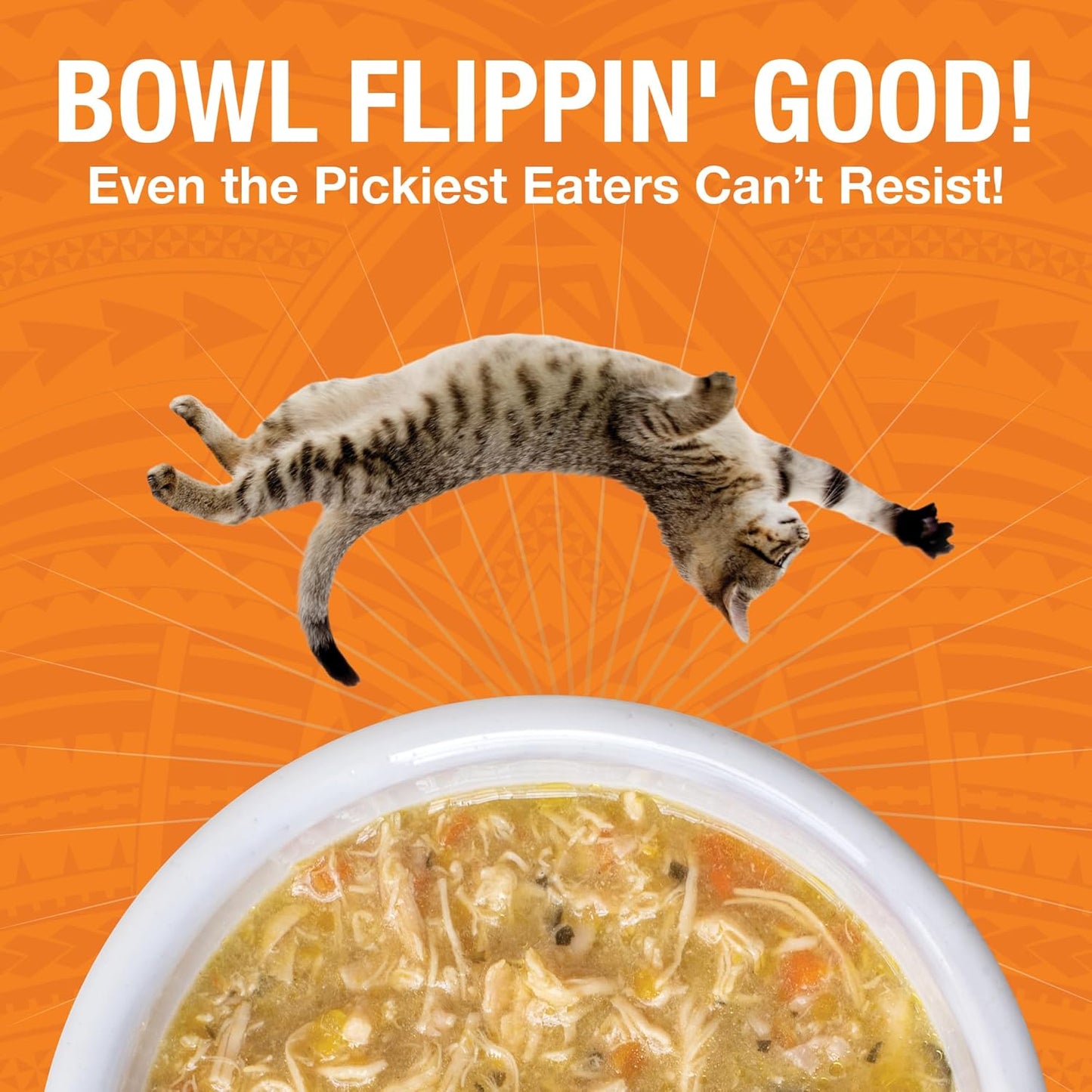 KOHA Pure Shreds Chicken Entrée for Cats, High Protein Wet Cat Food, 2.8oz Cans (Pack of 24)