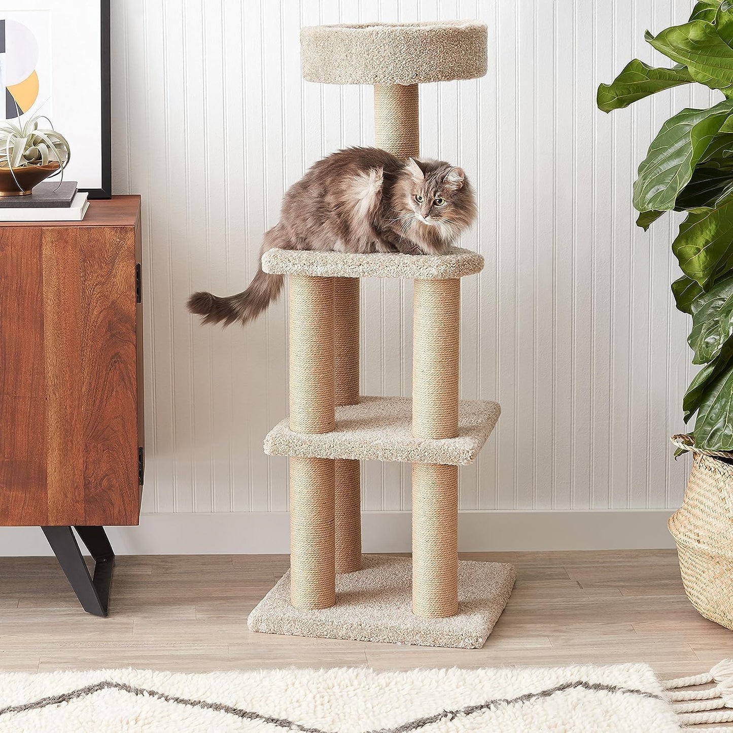 Amazon Basics Cat Tree - Indoor Cat & Kittens Multi-Level Climbing Activity Tower with Scratching Posts, Large (45.9"H) - Beige