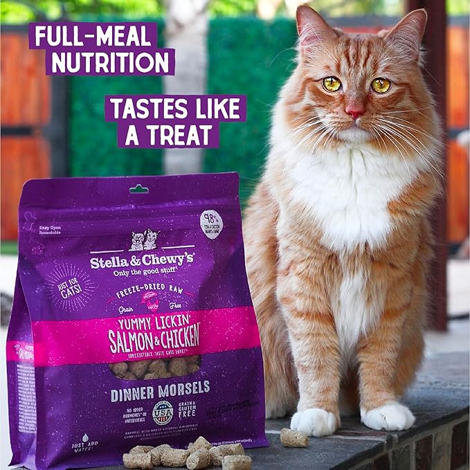Stella & Chewy's Freeze-Dried Raw Cat Dinner Morsels - Premium Salmon & Chicken Recipe with 98% Wild-Caught & Cage-Free Protein - Natural Grain-Free Cat & Kitten Food - Made in USA - 1 oz (Pack of 2)